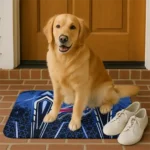 buffalo-bills-graphic-stripes-blue-doormat-best-selling.webp