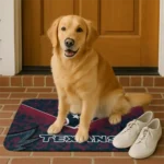 houston-texans-layered-lines-blue-doormat-best-selling.webp