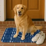 indianapolis-colts-bolt-row-blue-doormat-best-selling.webp